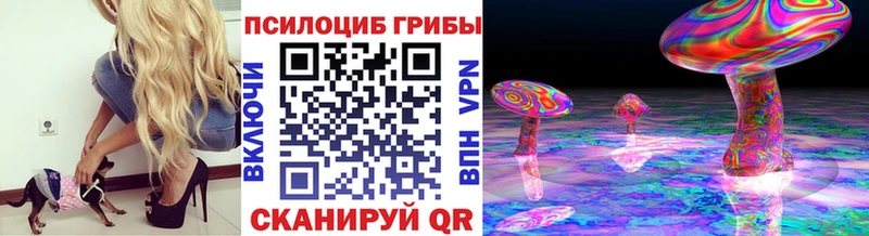 Псилоцибиновые грибы Psilocybe Инза